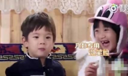 娱乐圈八卦吃瓜啦,揭秘明星背后的故事与幕后真相